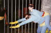 2001HalloweenSuper.jpg (167230 bytes)